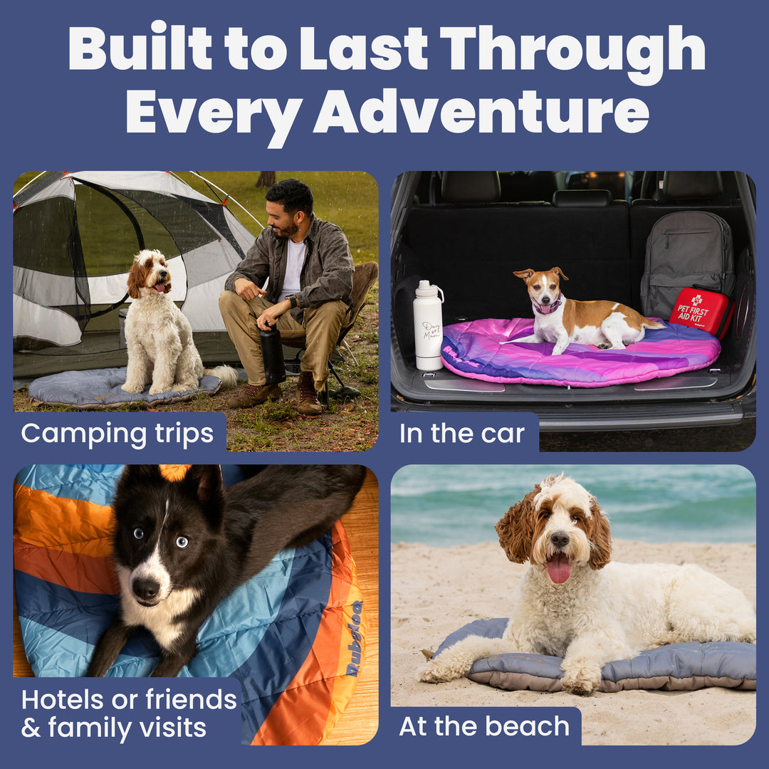 Original Doggy Bag ™ & Travel Dog Bed