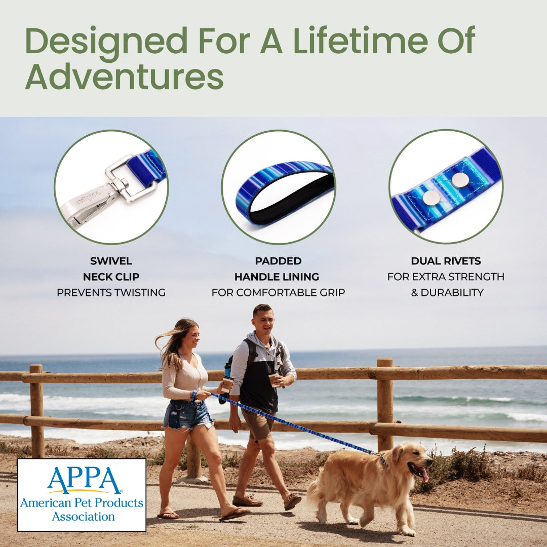 Waterproof Dog Collar & 6 ft Leash Set: Blue