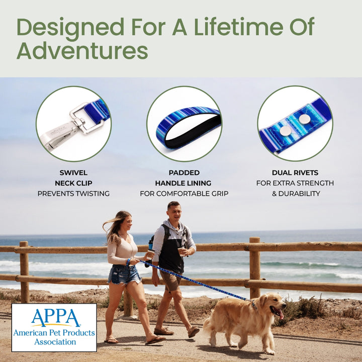 Waterproof Dog Collar & 6 ft Leash Set: Blue