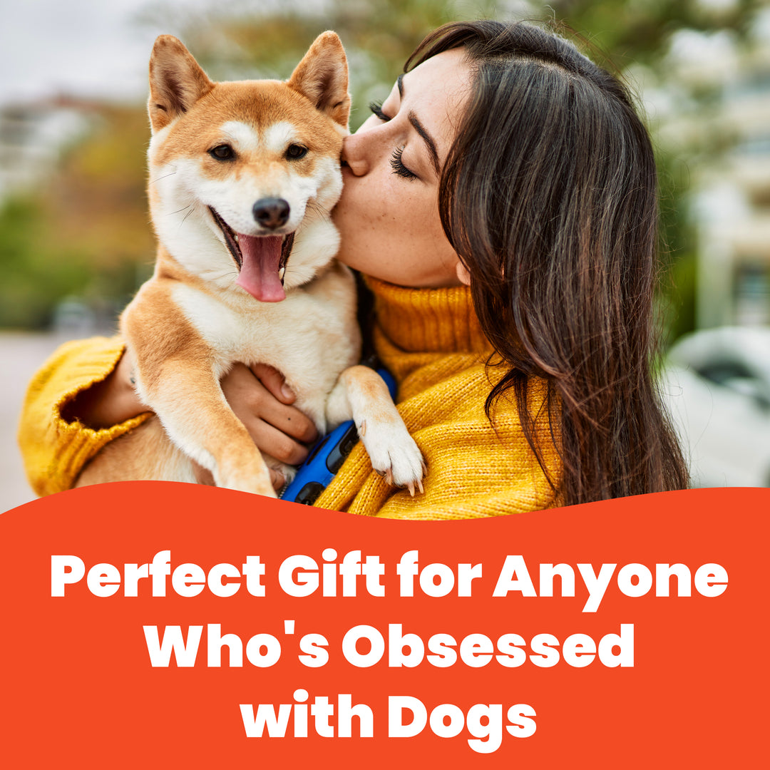Dog-Themed Stylus Pen Sets & Refills