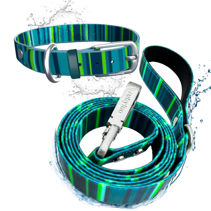 Waterproof Dog Collar & 6 ft Leash Set: Teal