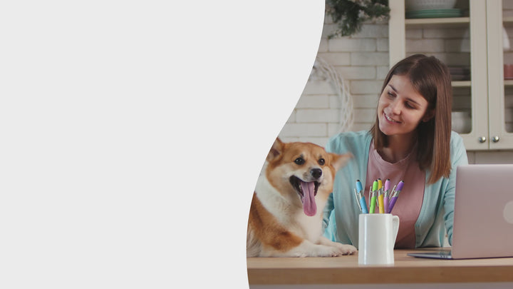 Dog-Themed Stylus Pen Set: 2 pcs. Dog Lover