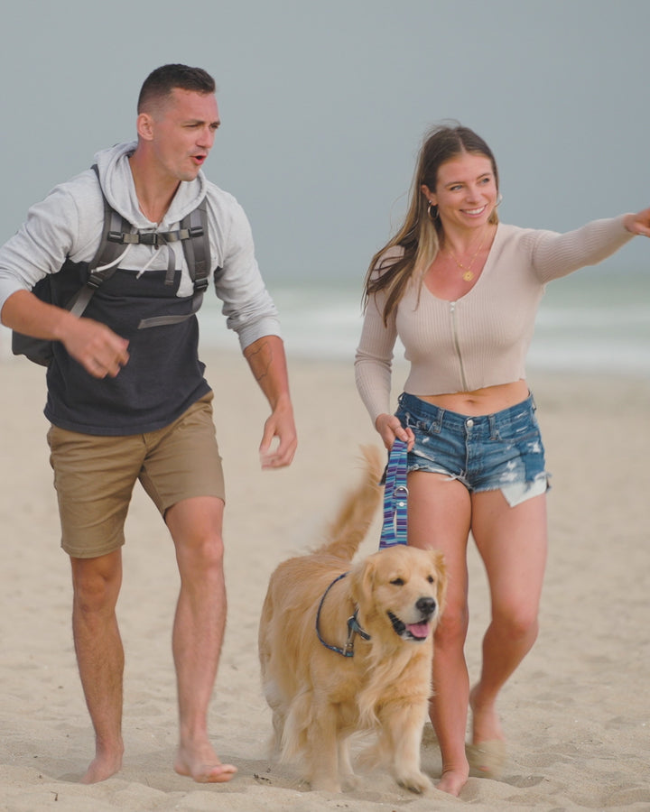 The Original Doggy Bag™ Backpack for Dog Supplies