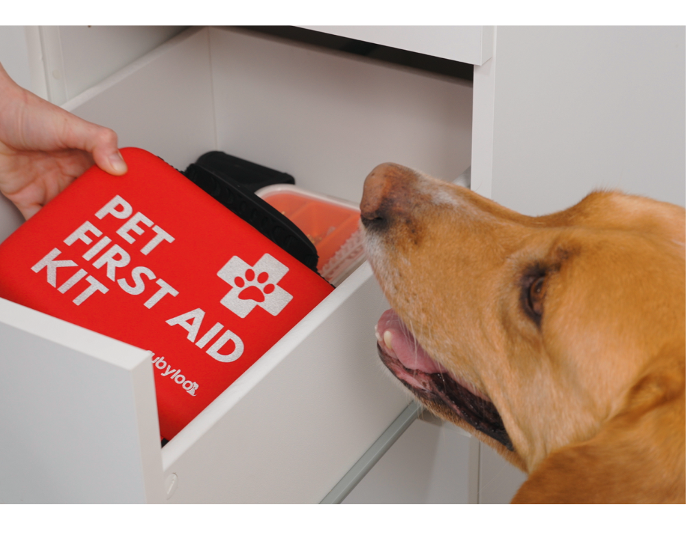 April is National Pet First Aid Awareness Month