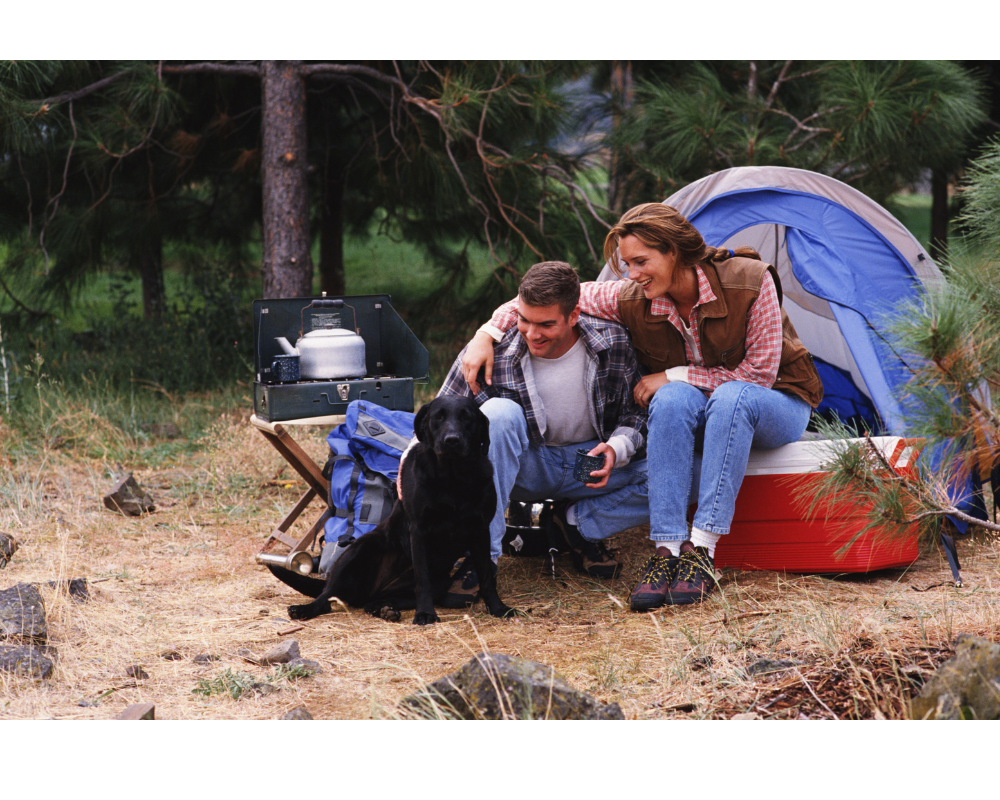 Camping with Canines: 10 Tips to Make Your Outdoor Adventures Safe and Enjoyable