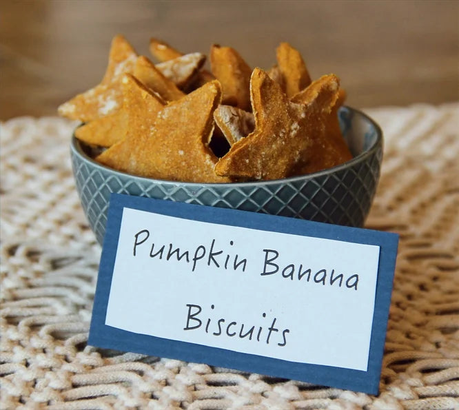 Pumpkin Banana Dog Treats