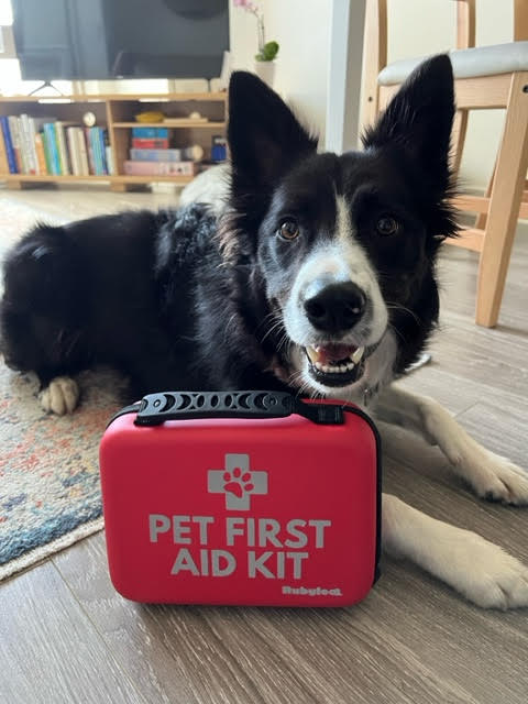 Pet First Aid for your dogs and Cats: Pet first aid kit with cute dog