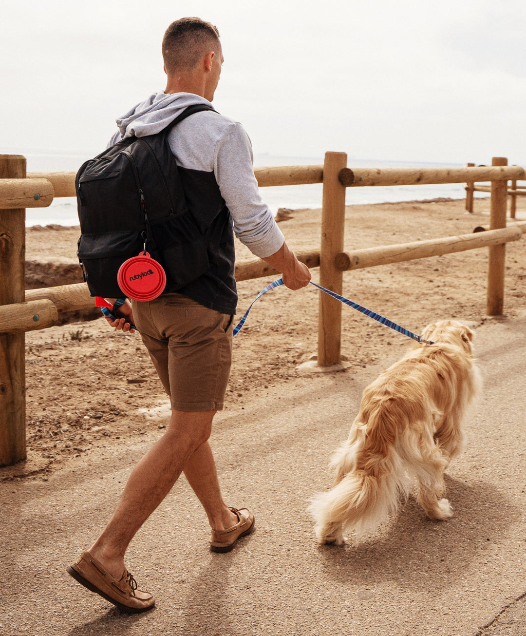 Affordable all-weather dog leashes.