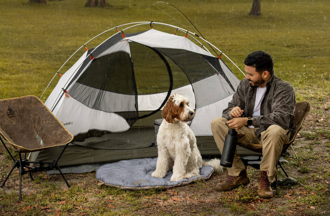 Affordable options for beach dog collars.