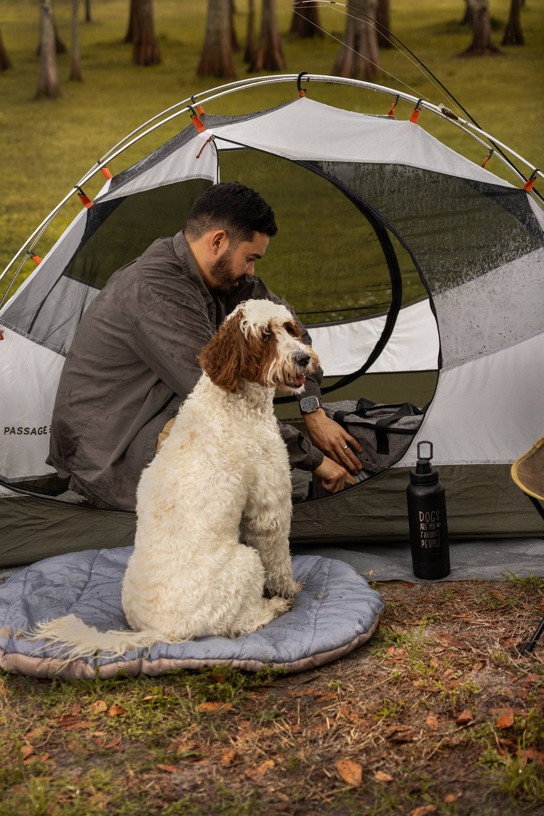 Affordable waterproof leashes for large dogs.