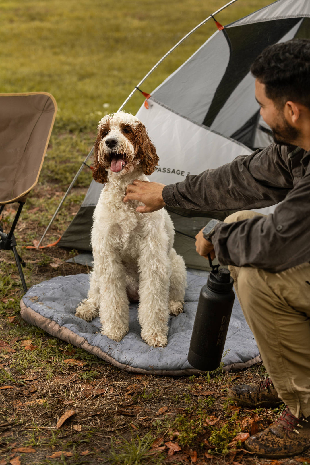 Alternatives to absorbent dog collars.
