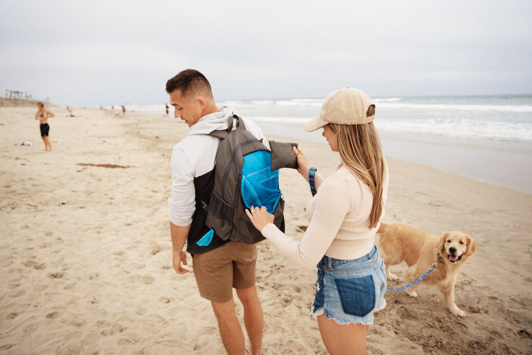 Compare waterproof collars and leather collars.