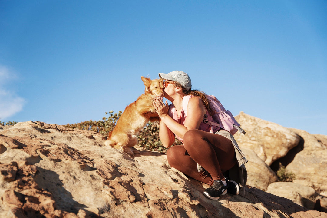 dog dad gifts under $25