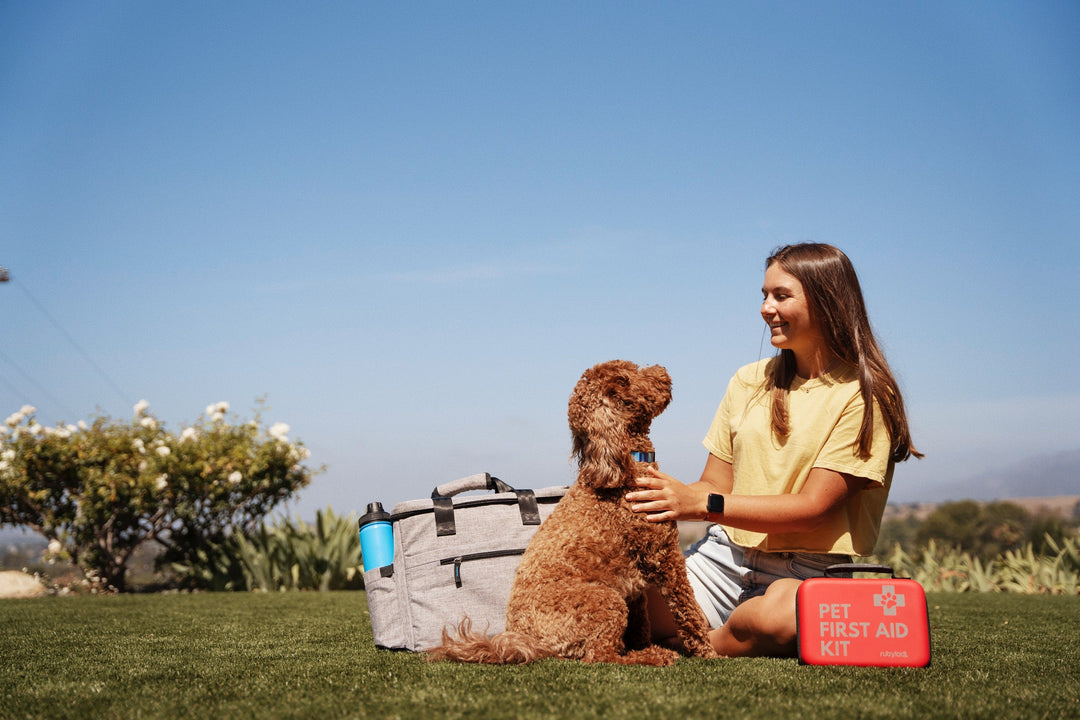 dog first aid kits