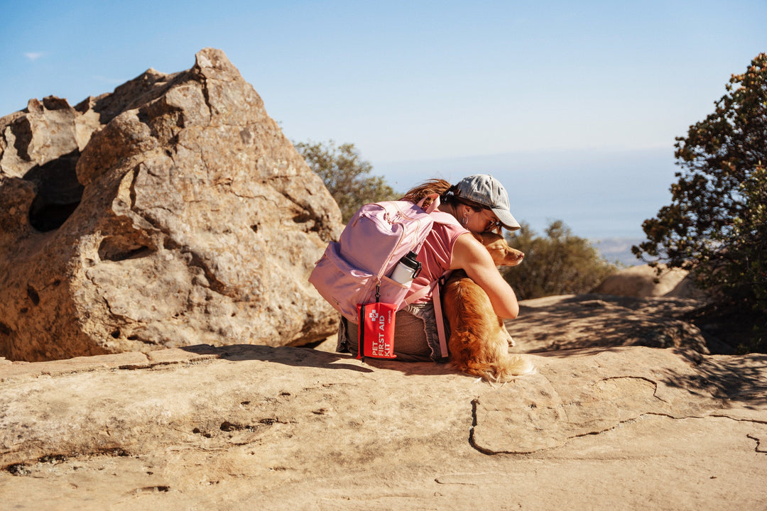 dog medical kit