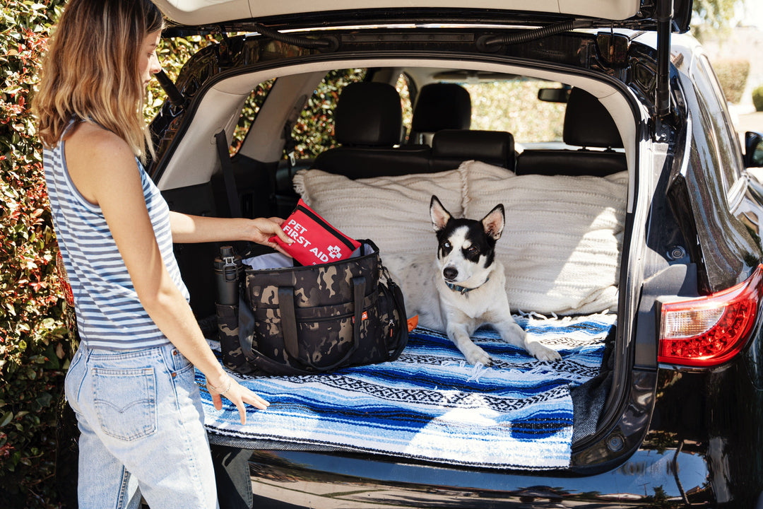 dog mom gifts that she'll actually use