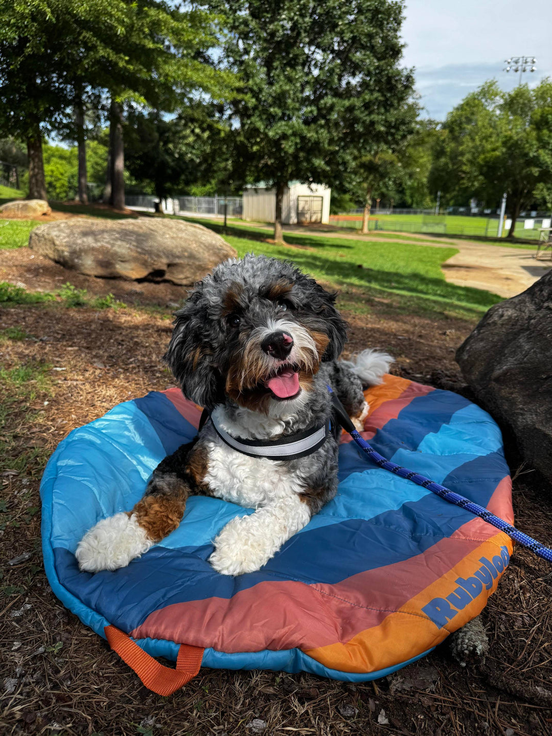 dog mom gifts under $100