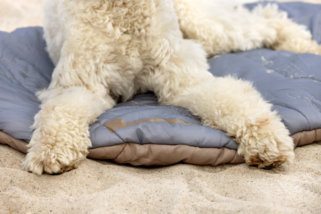dog mom gifts under $25