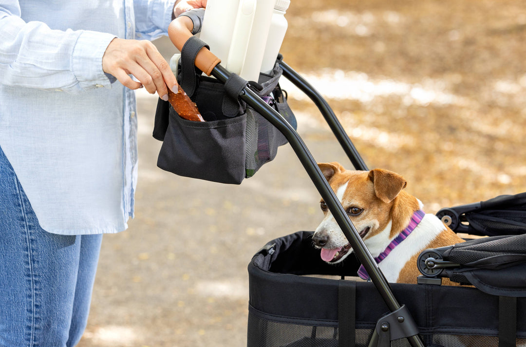 dog travel bag for dog mom