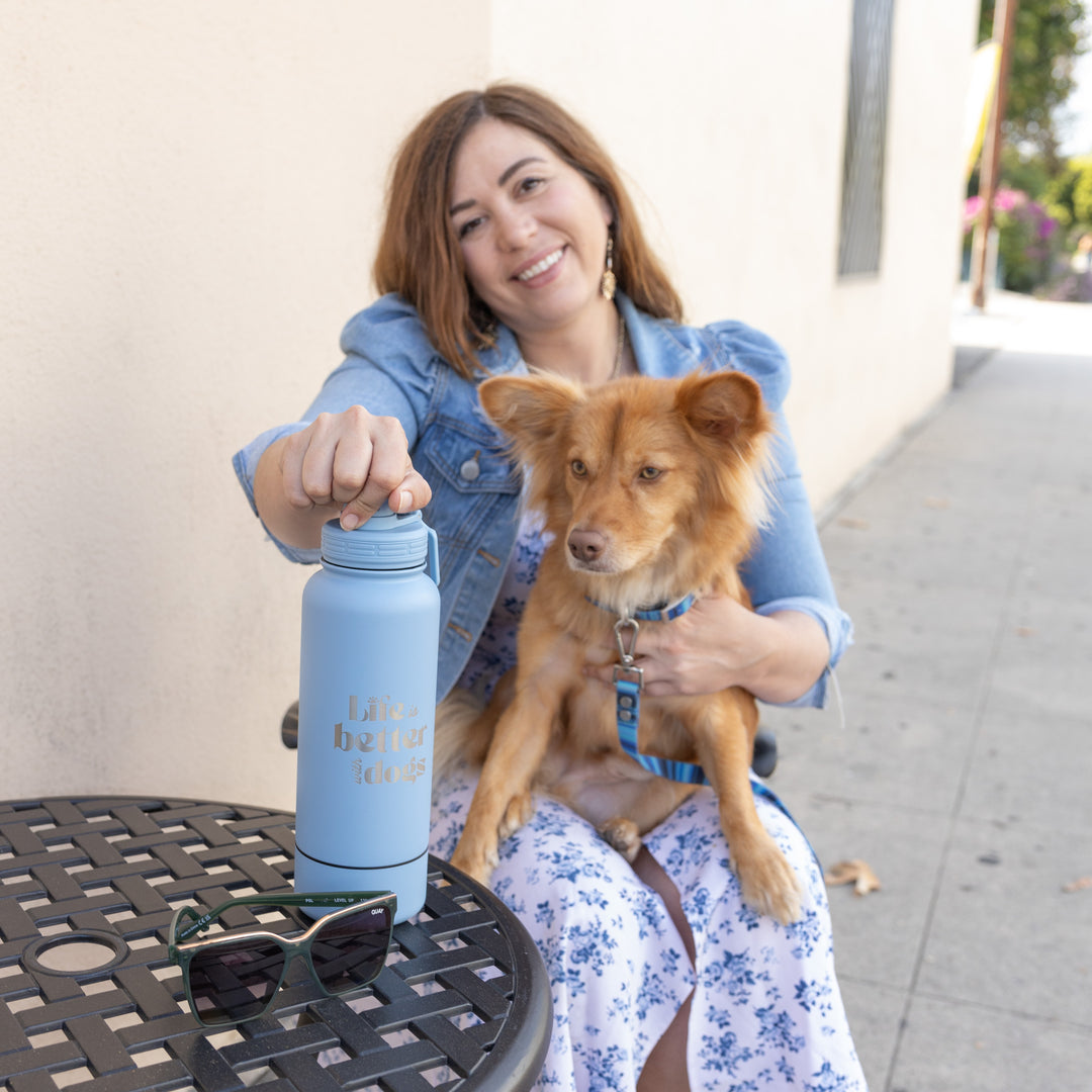 2 ingredient dog treats no bake