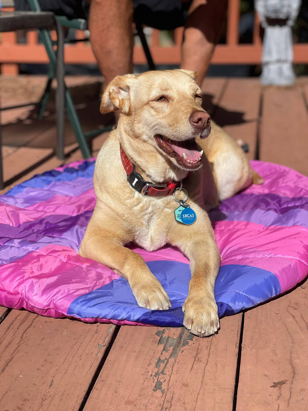 Father's Day gifts for dog dads