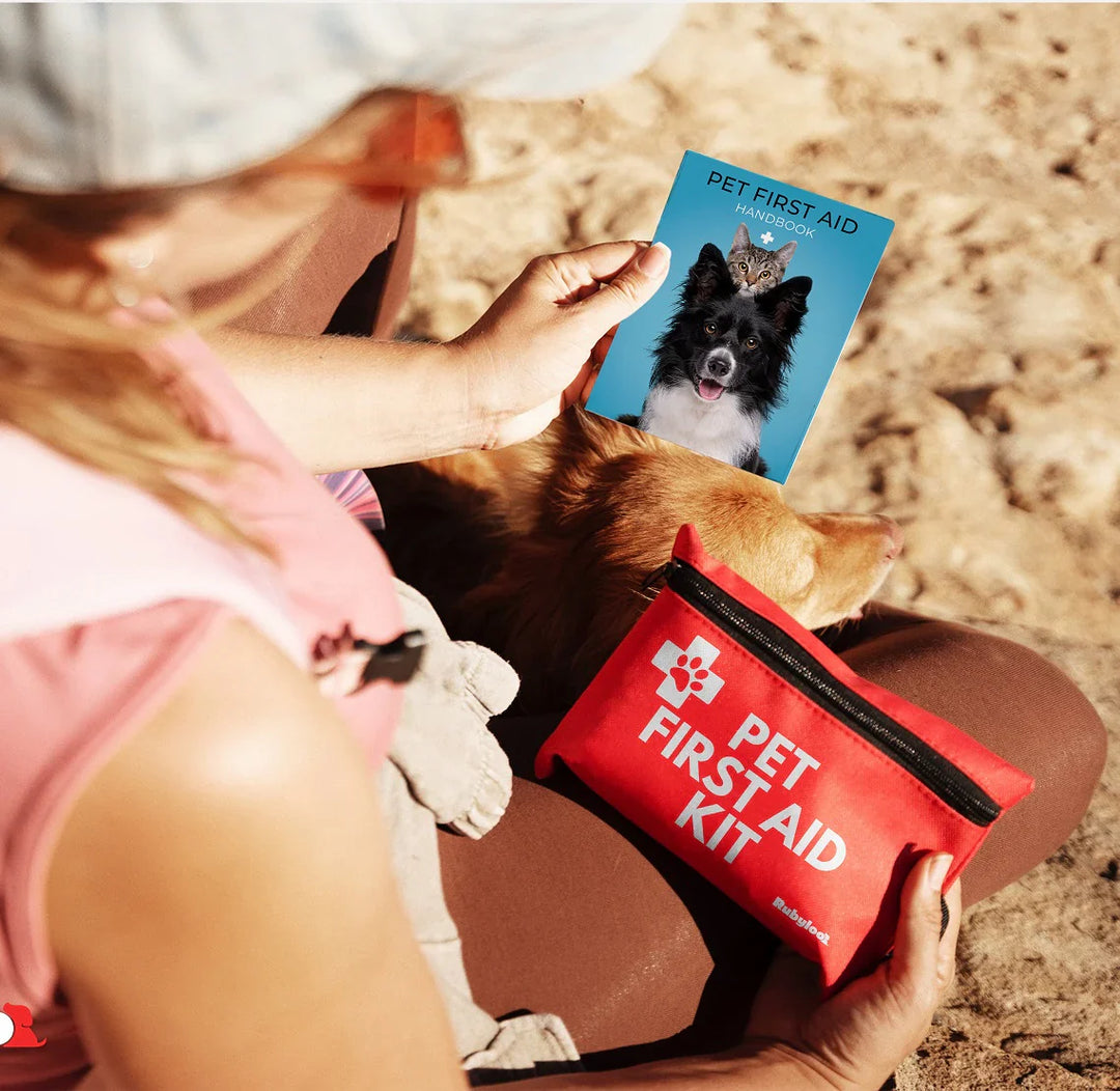 first aid kit for dogs