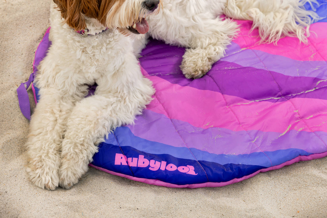 last-minute Mother's Day gifts for dog moms