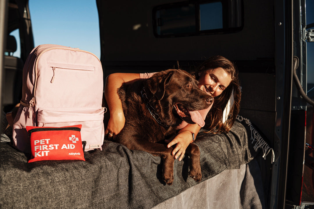 animal first aid kit