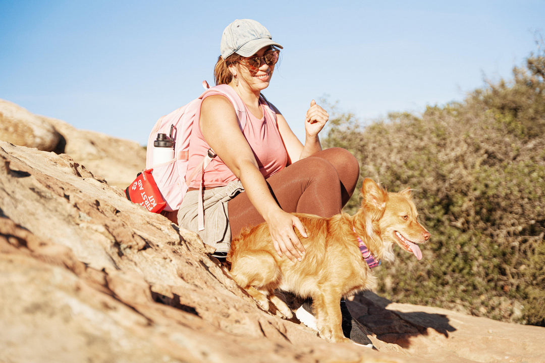 pet first aid kit for dogs
