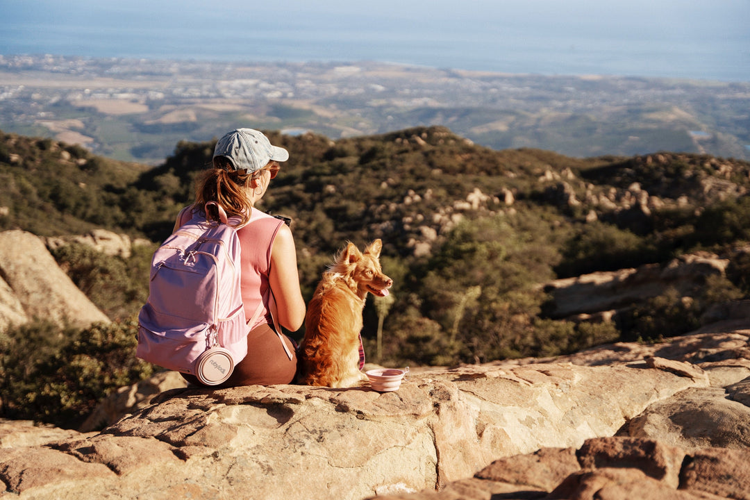 Top waterproof collars for muddy hikes.
