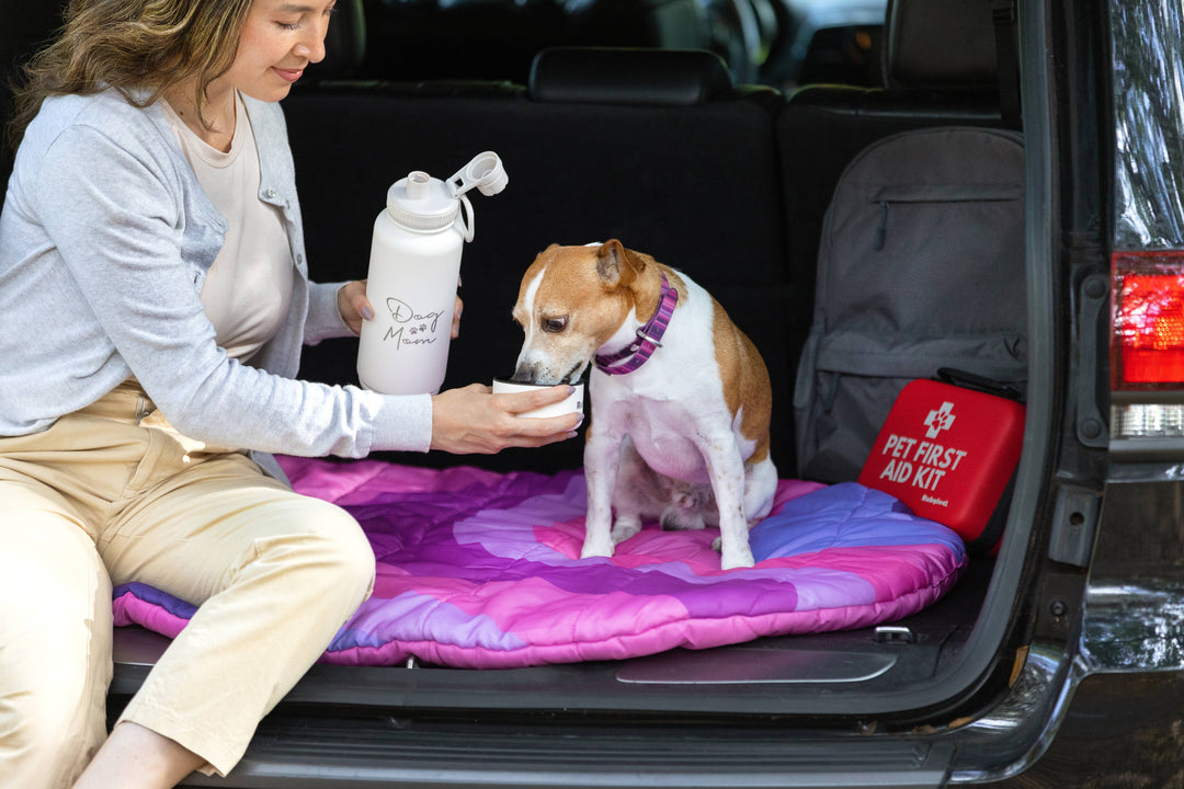 useful gifts for dog moms