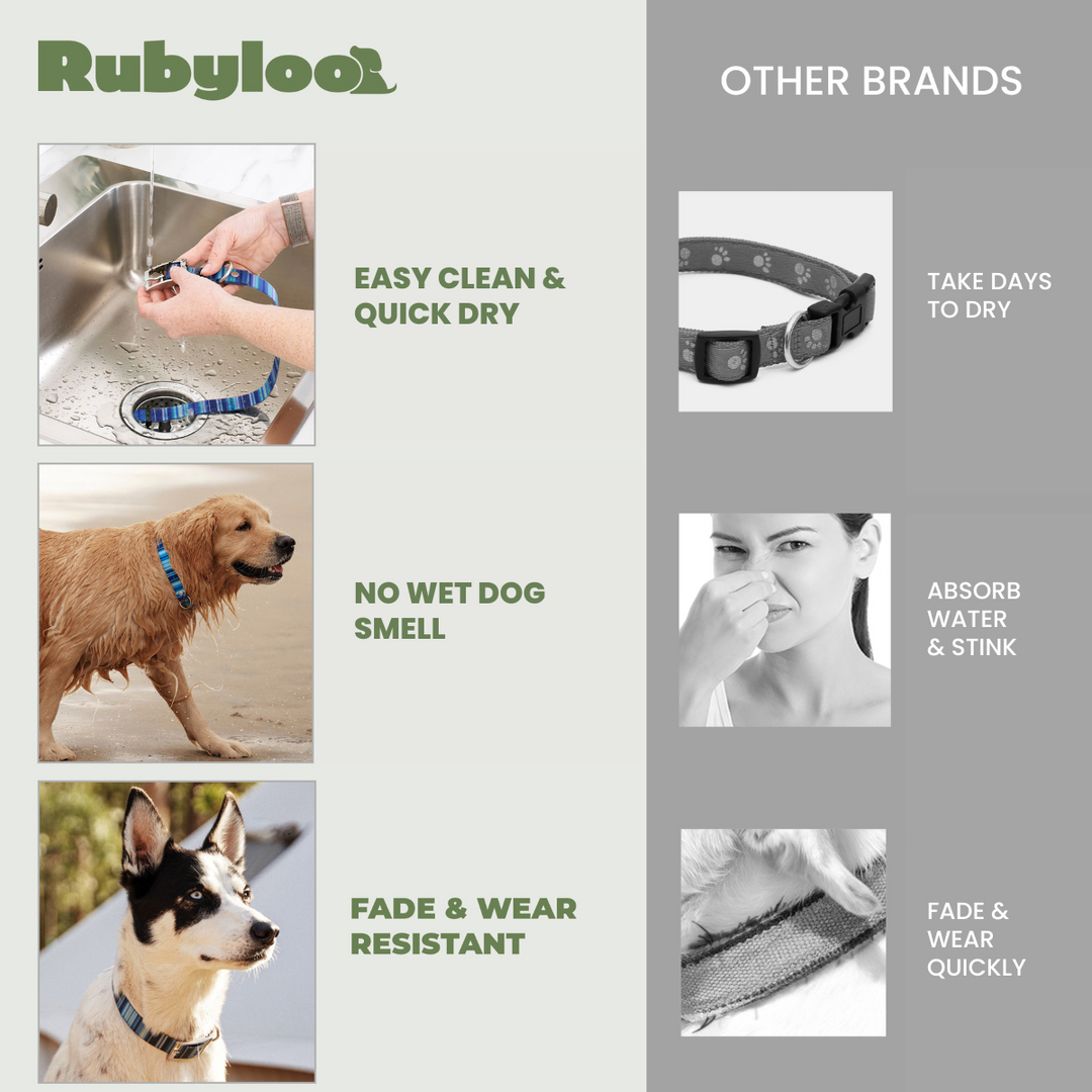 Odor resistant dog collars hotsell