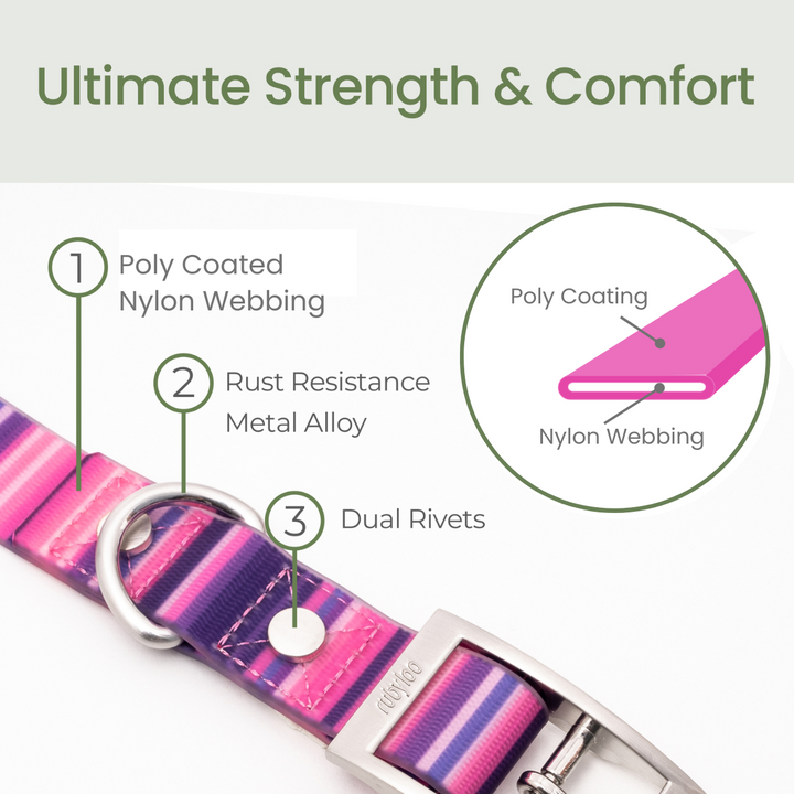 Waterproof Dog Collar & 6 ft Leash Set: Pink