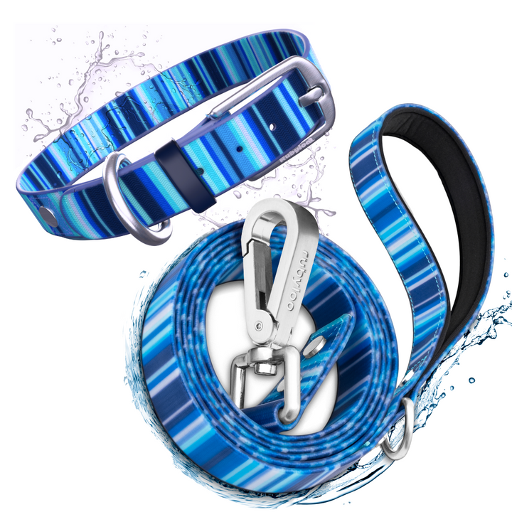 Waterproof Dog Collar & 6 ft Leash Set: Blue