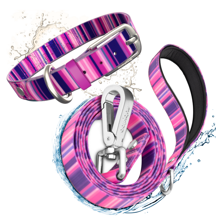 Waterproof Dog Collar & 6 ft Leash Set: Pink