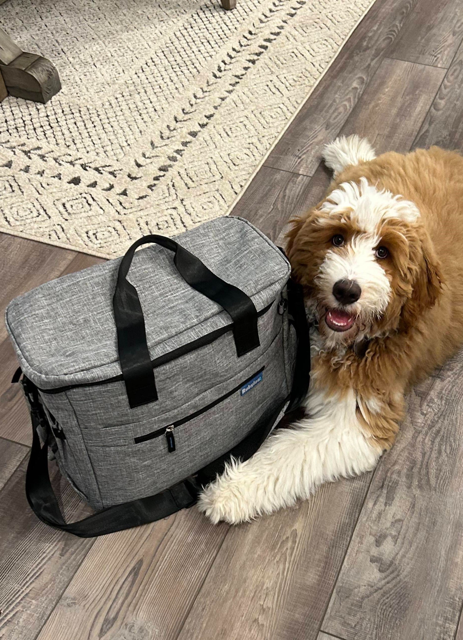 Dog with Bag