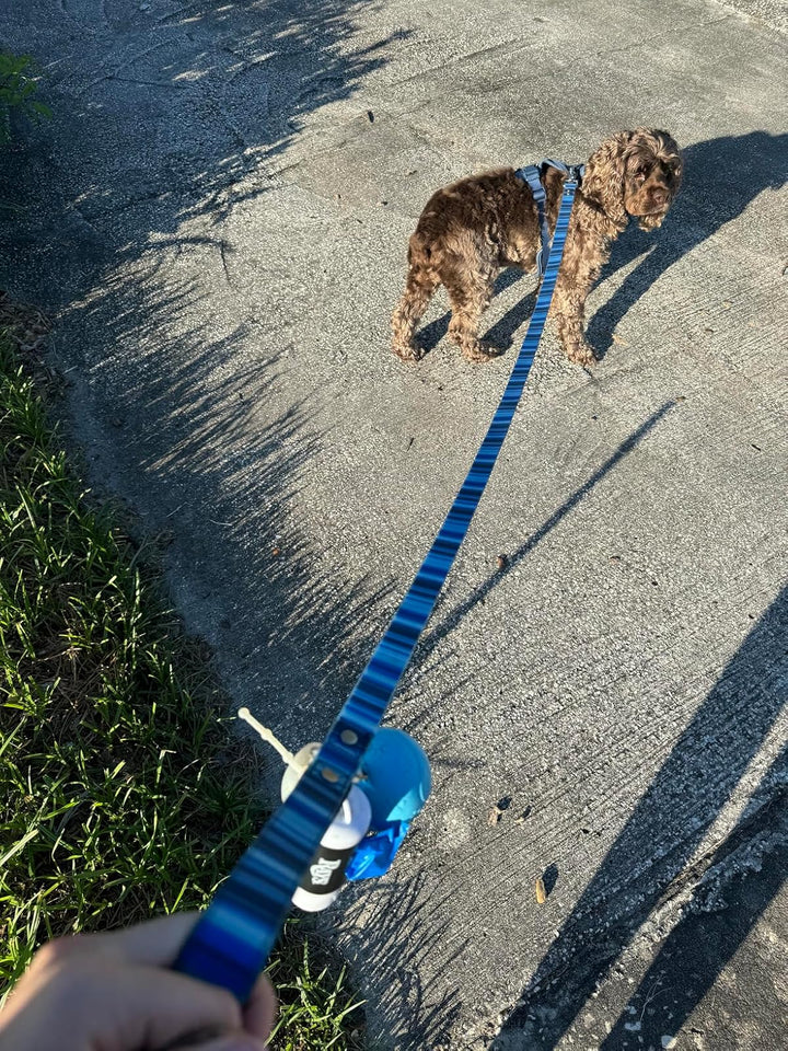 Waterproof Dog Collar & 6 ft Leash Set: Blue