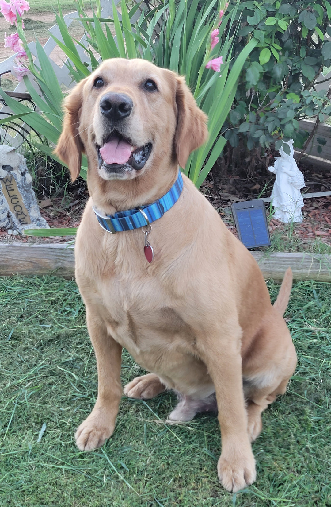 Waterproof Dog Collar & 6 ft Leash Set: Blue