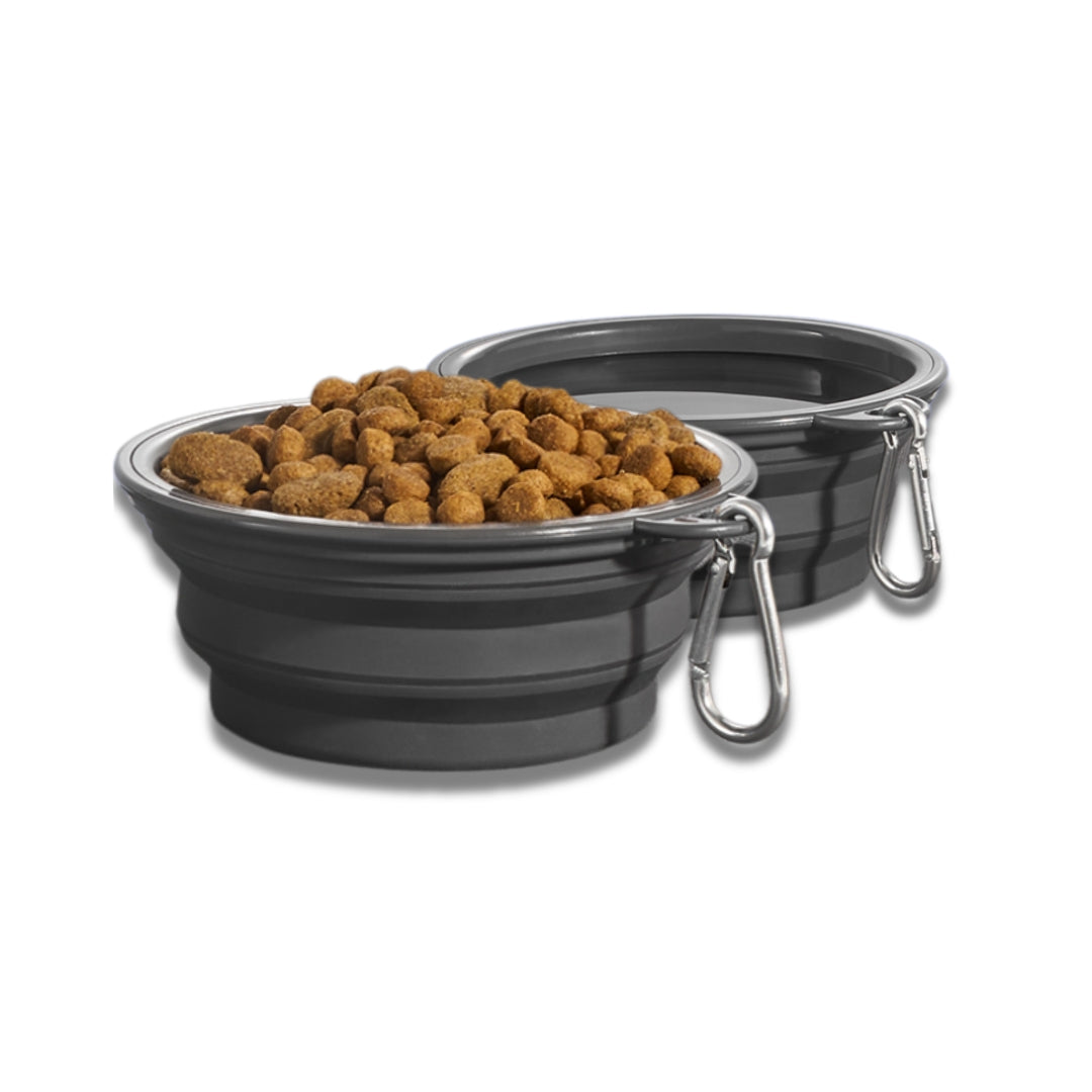 Small Collapsible Dog Bowls (2 pc set)