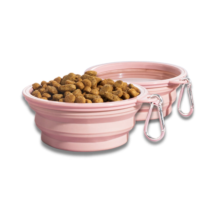 Small Collapsible Dog Bowls (2 pc set)