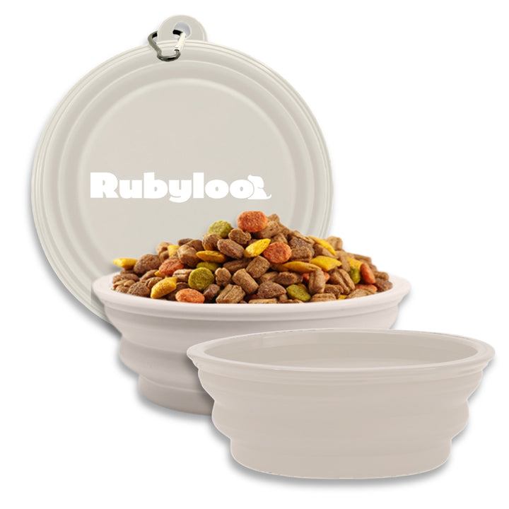 Large Collapsible Dog Bowls (2 pc set)