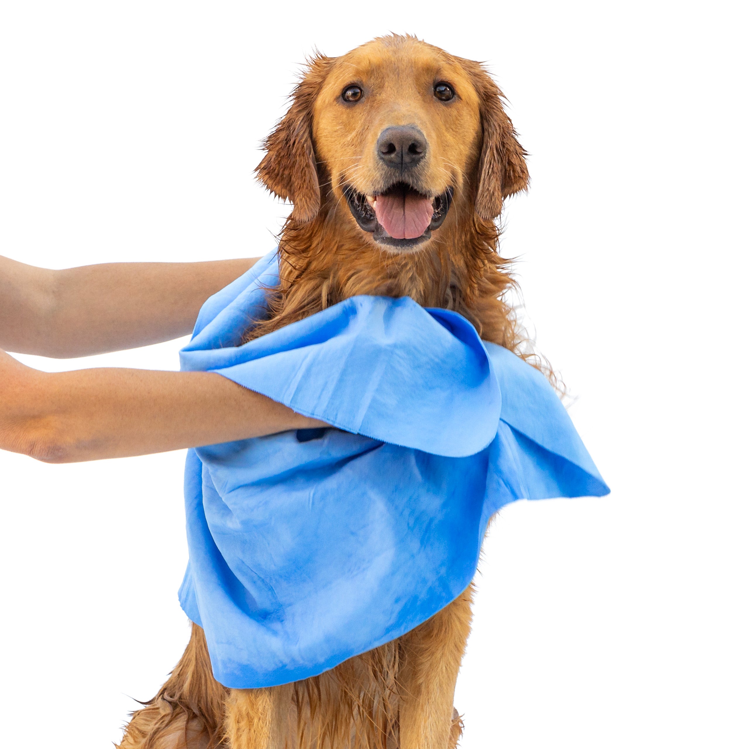 Dog Drying Shammy Towel Rubyloo