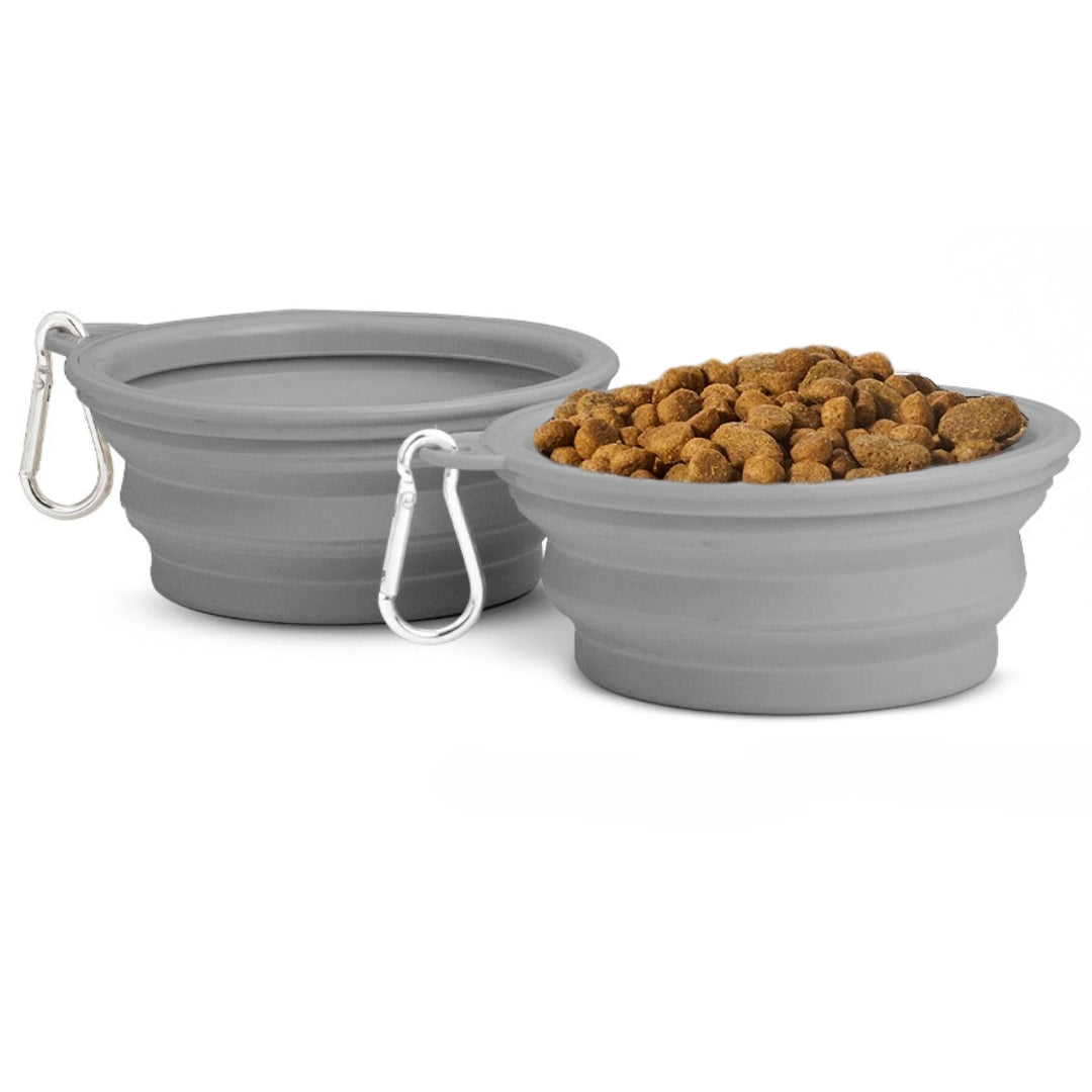 Small Collapsible Dog Bowls (2 pc set)