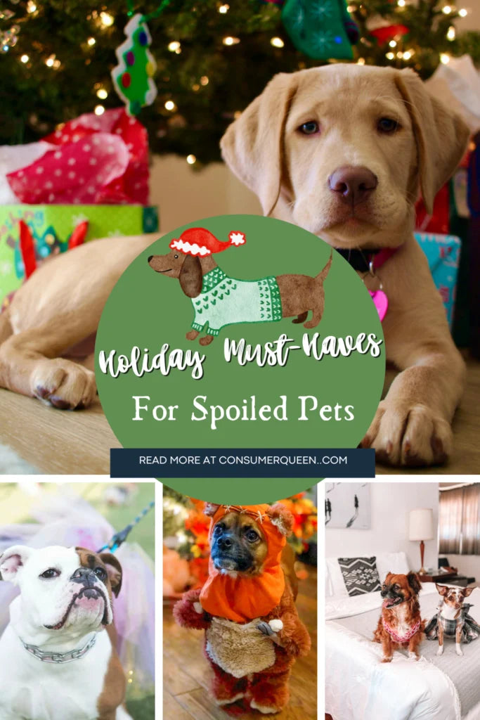 Holiday Must-Haves for Spoiled Pets