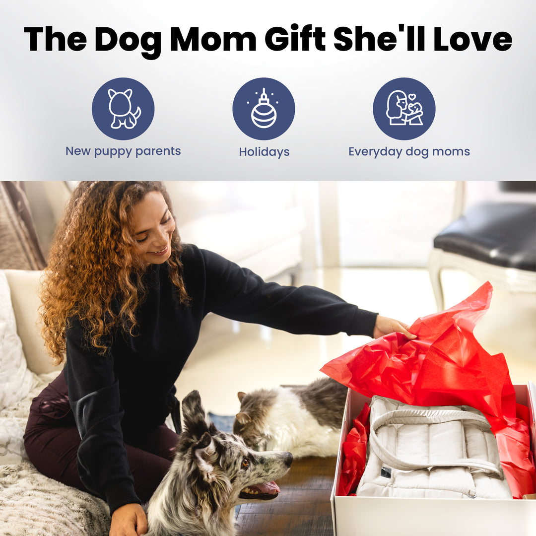 Puffer Dog Travel Bag & Mini Lint Roller for Pet Hair with 2 Refills
