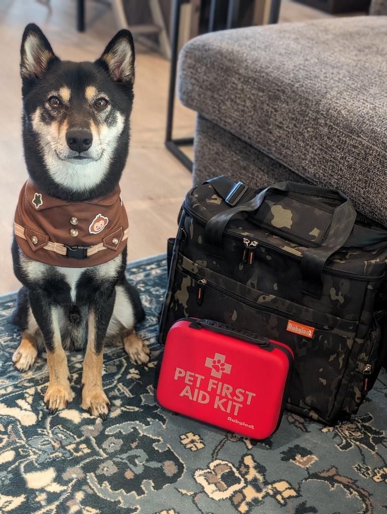 Dog with Bag