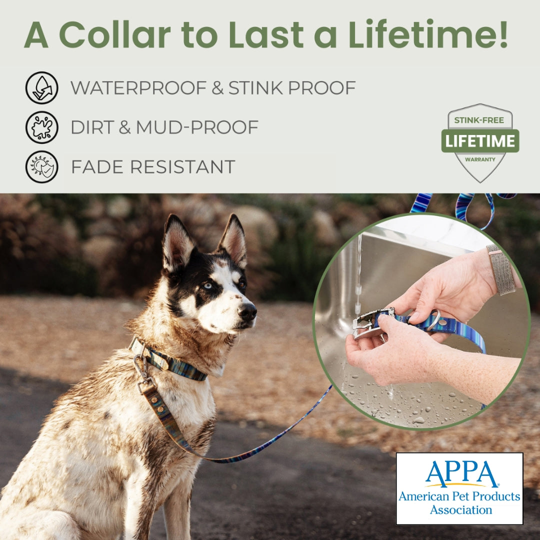 Washable, Waterproof & Stink Proof Dog Collars