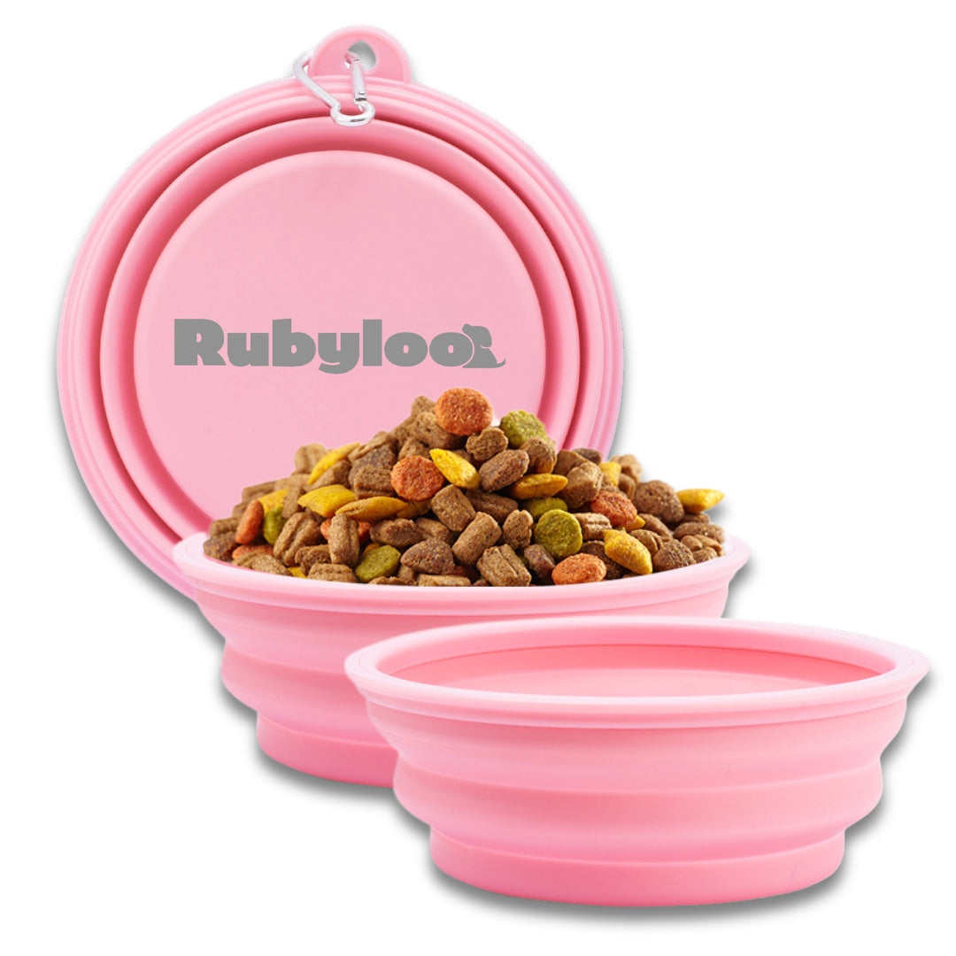 Large Collapsible Dog Bowls (2 pc set)