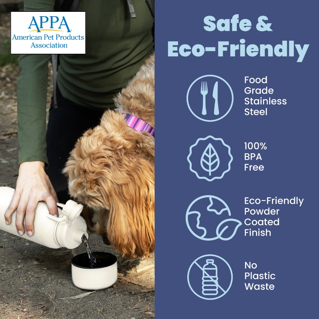 Water Bottle with Detachable Dog Bowl