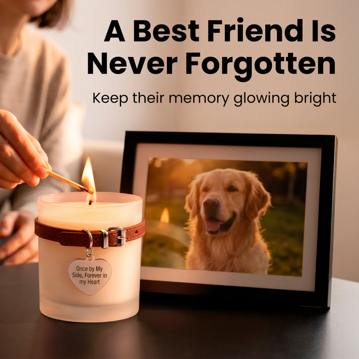 Pet Memorial Gifts for Dogs & Cats, Loss of Dog Sympathy Gift Candle